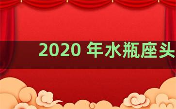 2020 年水瓶座头像